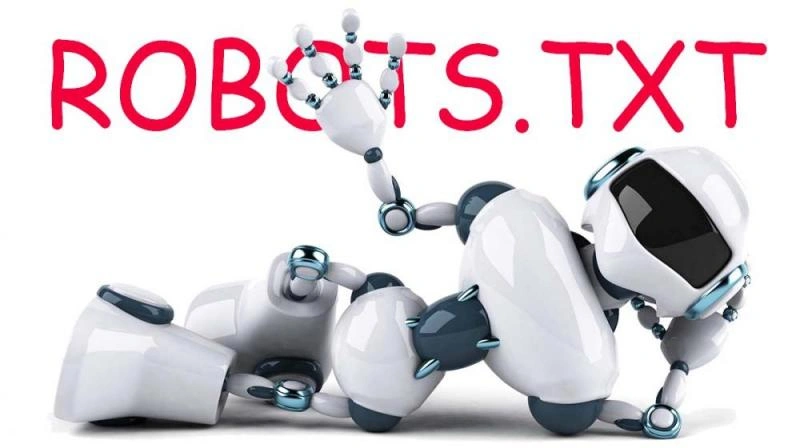 Что такое robots.txt и зачем он нужен в Комсомольске-на-Амуре